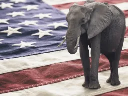 Elephant on American flag
