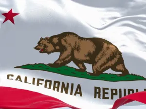 Close-up view of the California State flag waving in the wind 
