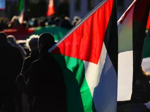 Pro-Palestinian protesters