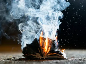 burning book