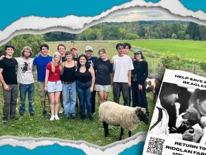club and flier animal rights