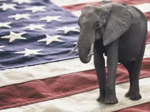Elephant on American flag