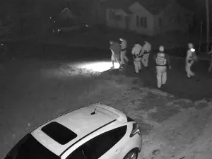 Gibbons arrest