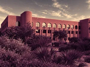University of Texas Rio Grande
