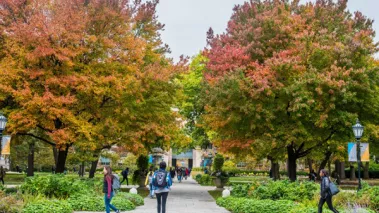 University of Chicago