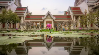 Traditional Thai style building reflects on the pool surface with pink lotus in the centre, Chulalongkorn university Bangkok, Thailand.