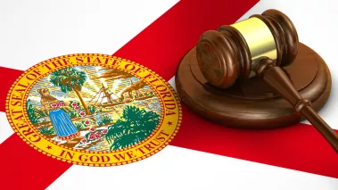 Gavel on the Floridan flag 