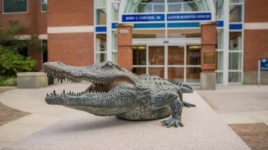 University of Florida Gator statue at Ben Hill Griffin football Stadium 