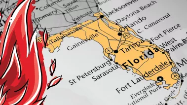 Ninety percent of targeted scholars at the University of Florida face punishment.