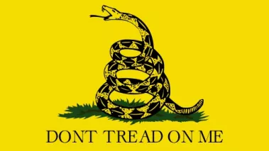Gadsden Flag without an apostrophe