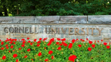 The entrance sign of Cornell University surrounded by red flowers in the spring