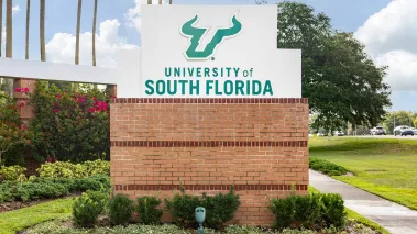 University of South Florida is a public research university in Tampa