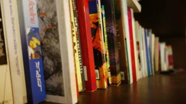 Book spines on a bookshelf