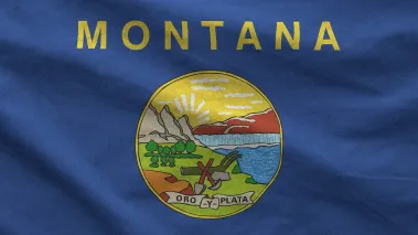 Montana state flag depicted on folded wavy fabric of old cloth close up