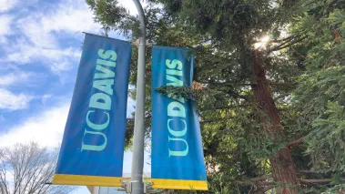 UC Davis banners on a pole in the Arboretum