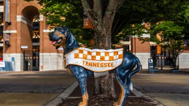 University of Tennessee campus dog statue