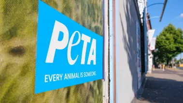 Blue PETA street poster on a wall next to a sidewalk (Image via Shutterstock.com)