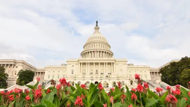 US Capitol in Washington DC with spring flowers (Image via Shutterstock.com)