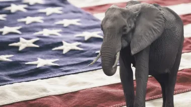 Elephant on American flag