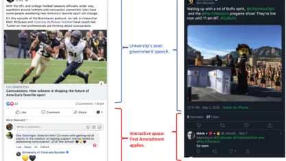 Social Media report 2020: figures 1 and 2
