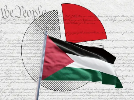 Flag of Palestine set against the first page of the U.S. Constitution with the words "We the People" in the top left corner, and a pie chart in the middle, indicating statistics and data