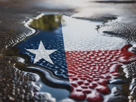 Texas flag reflected in a puddle