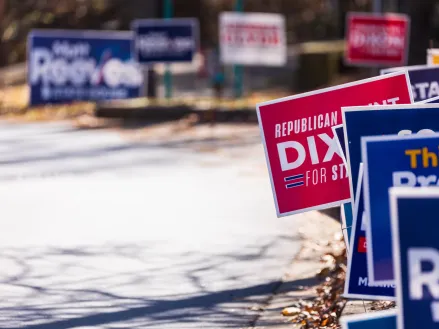 Dozens of election campaign yard signs planted in grass in Suwanee, Georgia