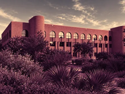 University of Texas Rio Grande