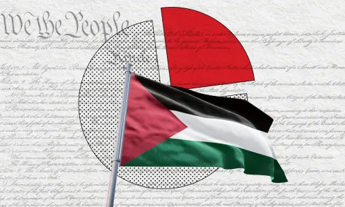 Flag of Palestine set against the first page of the U.S. Constitution with the words "We the People" in the top left corner, and a pie chart in the middle, indicating statistics and data