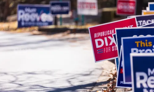 Dozens of election campaign yard signs planted in grass in Suwanee, Georgia