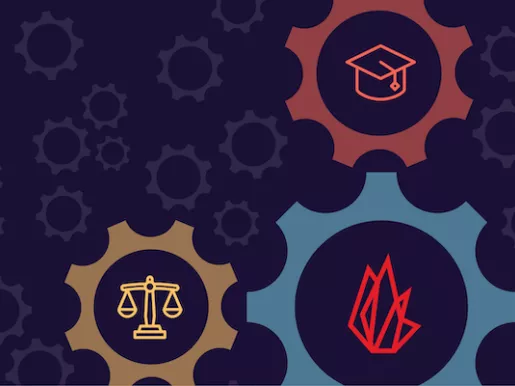 Due Process Report 2019-2020