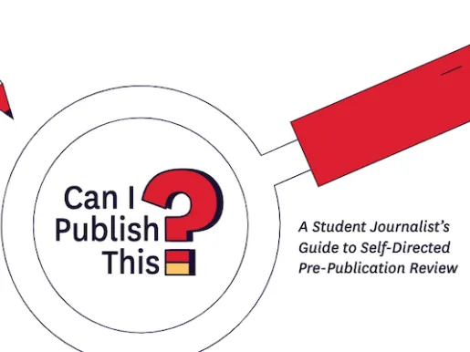 Can I Publish This Logo