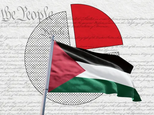 Flag of Palestine set against the first page of the U.S. Constitution with the words "We the People" in the top left corner, and a pie chart in the middle, indicating statistics and data