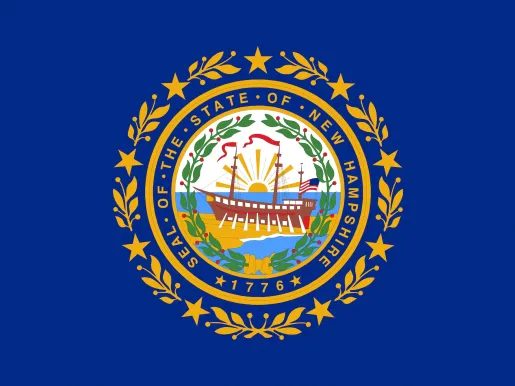 Illustration of the flag of New Hampshire state in America