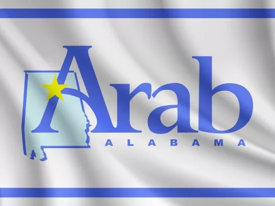Flag of Arab Alabama waving flag of Arab vector background 