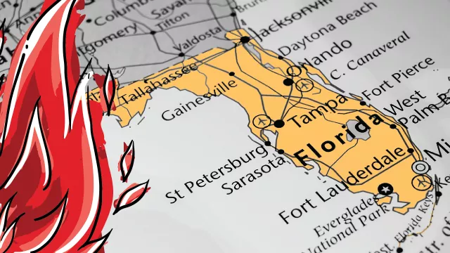 Ninety percent of targeted scholars at the University of Florida face punishment.