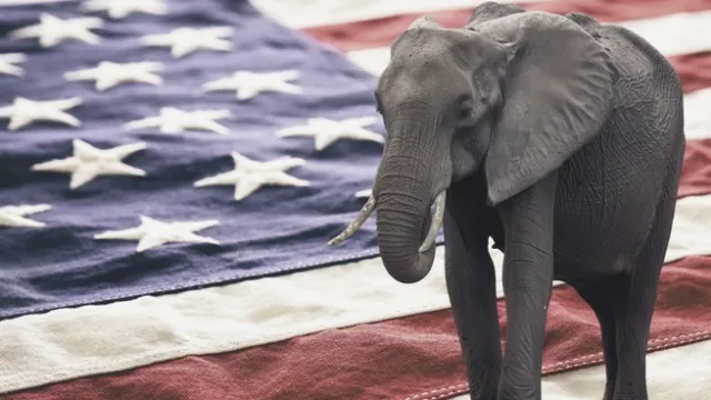 Elephant on American flag